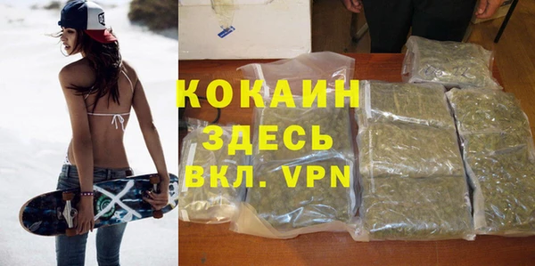 ALPHA PVP Горно-Алтайск