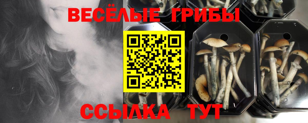 Псилоцибиновые грибы Magic Shrooms  Вход с VPN  Иваново 